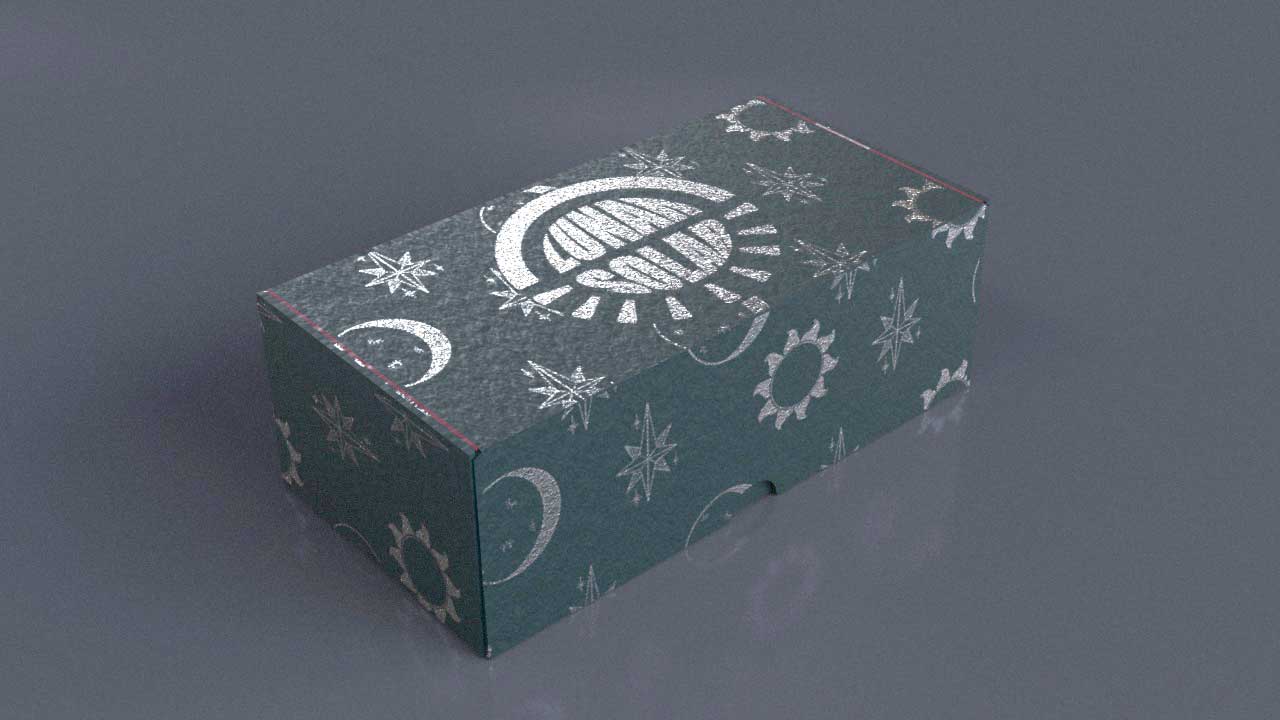 Lunar solar kit box