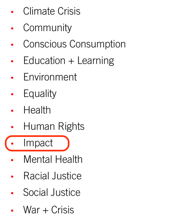 Awards brief themes: climate crisis, community, conscious consumption, education + learning, environment, equality, health, human rights, imapct (highlighted as our chosen theme), mental health, racial justice, social justice, war + crisis.