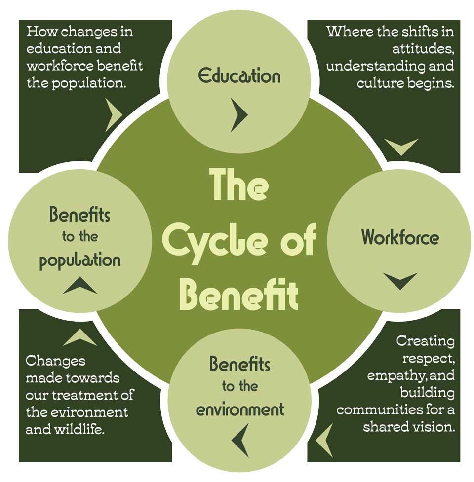 Diagram explaining the roles of education, workforce, the benefits to the environment, and the benefits to the population in the Cycle of Benefit. Education: where shifts in attitudes, understanding, and culture begins. Workforce: creating respect, empathy, and building communities for a shared vision. Benefits to the Environment: changes made towards our treatment of the environment and wildlife. Benefits to the Population: How changes in education and workforce benefit the population.