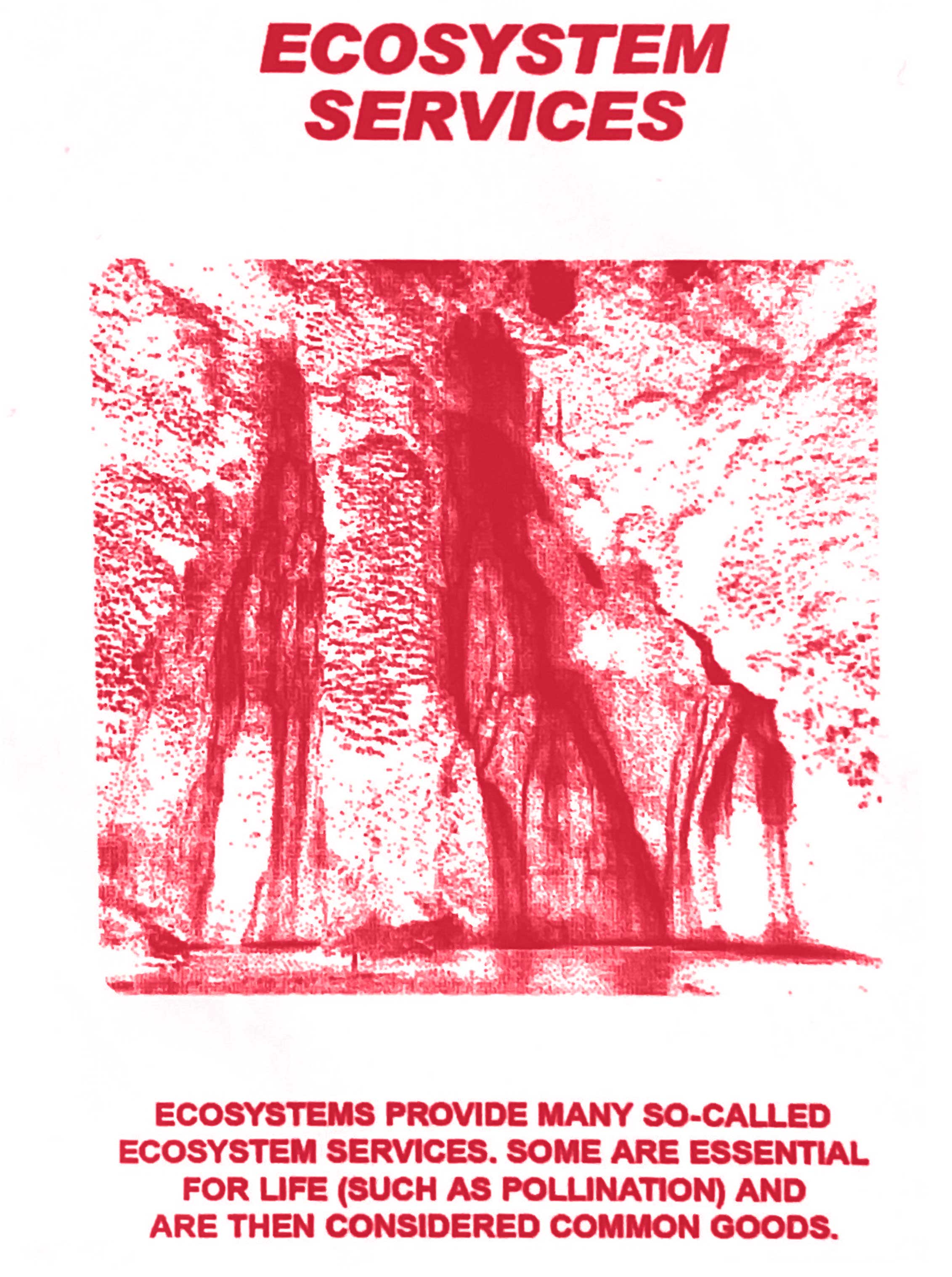 Ecosystem services: ecosystems provide many so-called ecosystem services. Some are essential for life (such as pollination) and are then considered common goods.