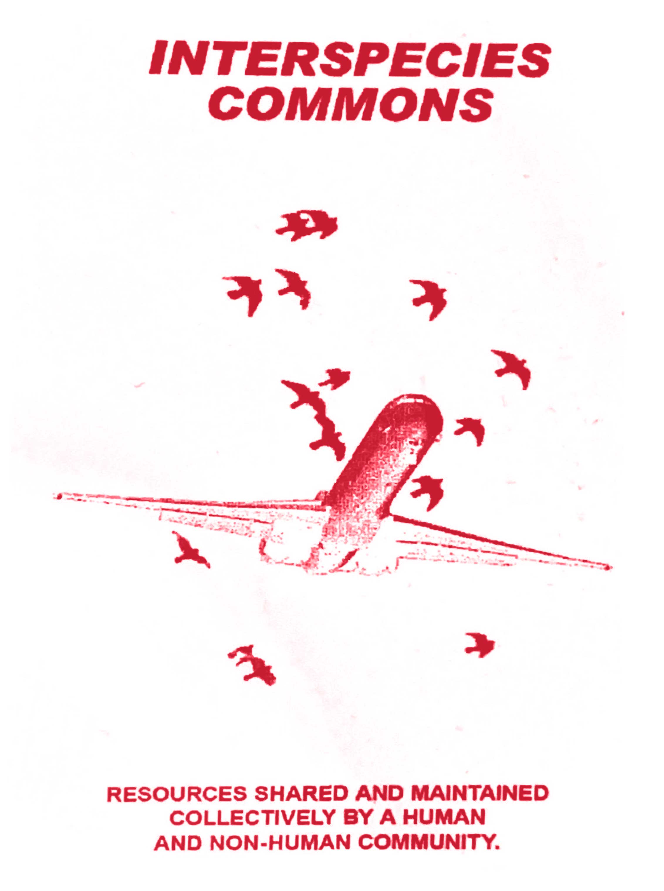 Interspecies commons: resources shared and maintained collectively by a human and non-human community.
