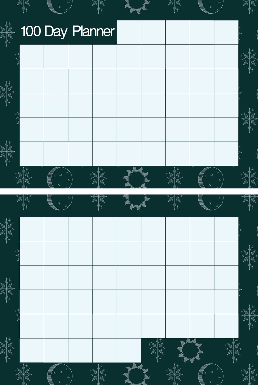 Poster: side 1 has a 100 day planner, and side two contains kit details.