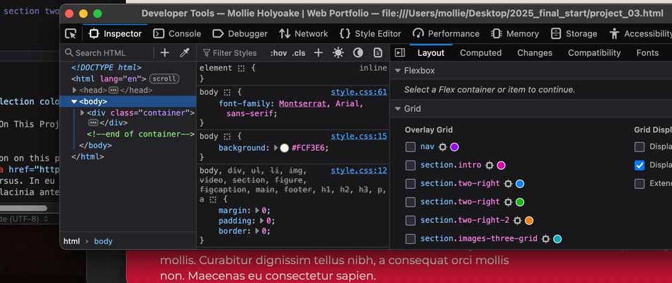 firefox web developer inspector showing CSS